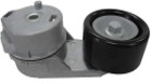 L17049- Tensor de Correa (70x33) (Motor MWM 2.8 Turbo D)